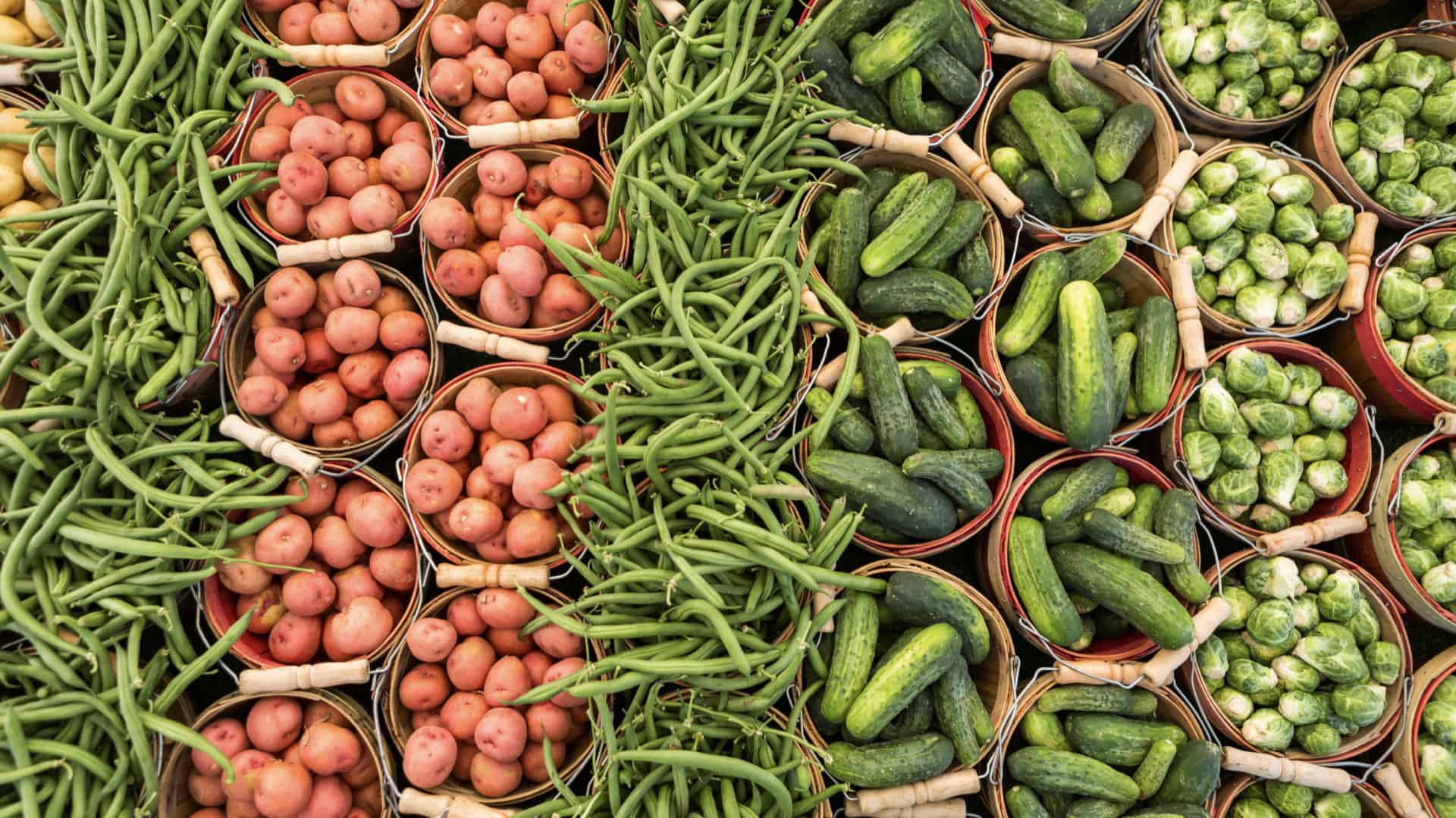 a selection of produce