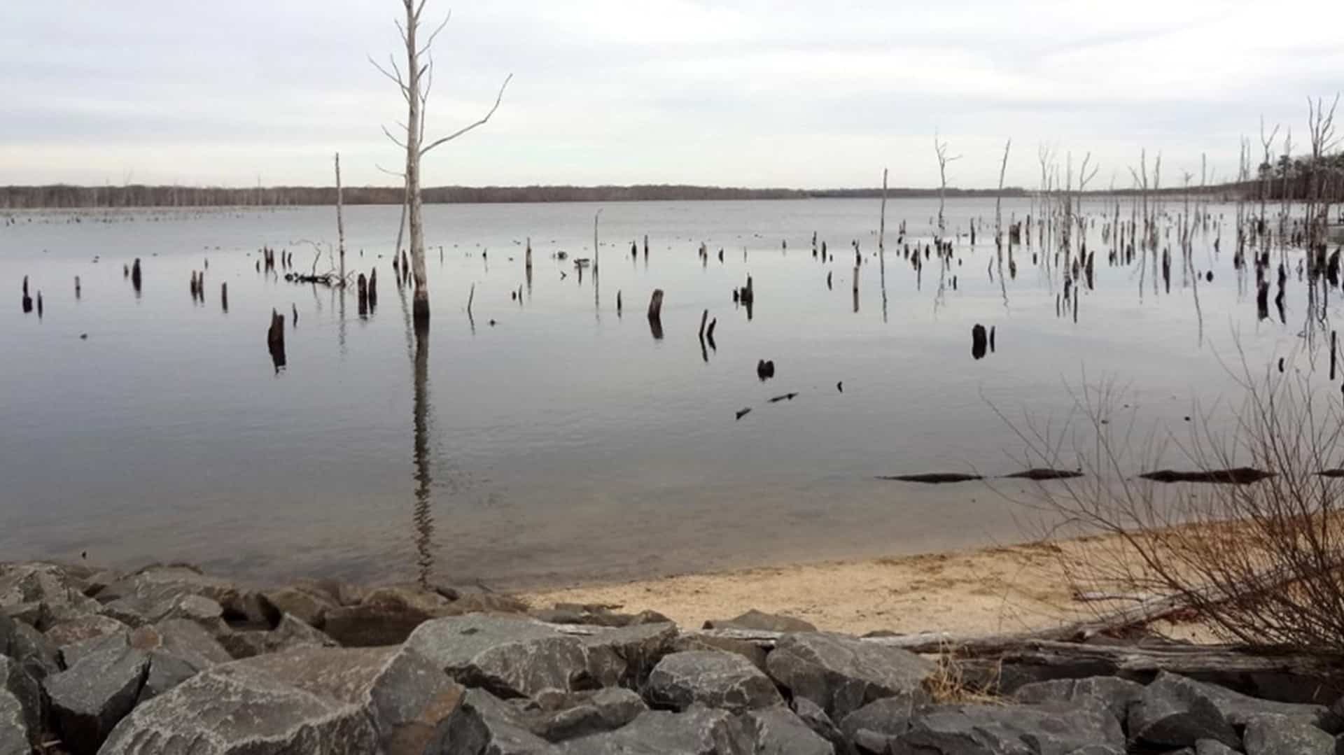 Manasquan Reservoir