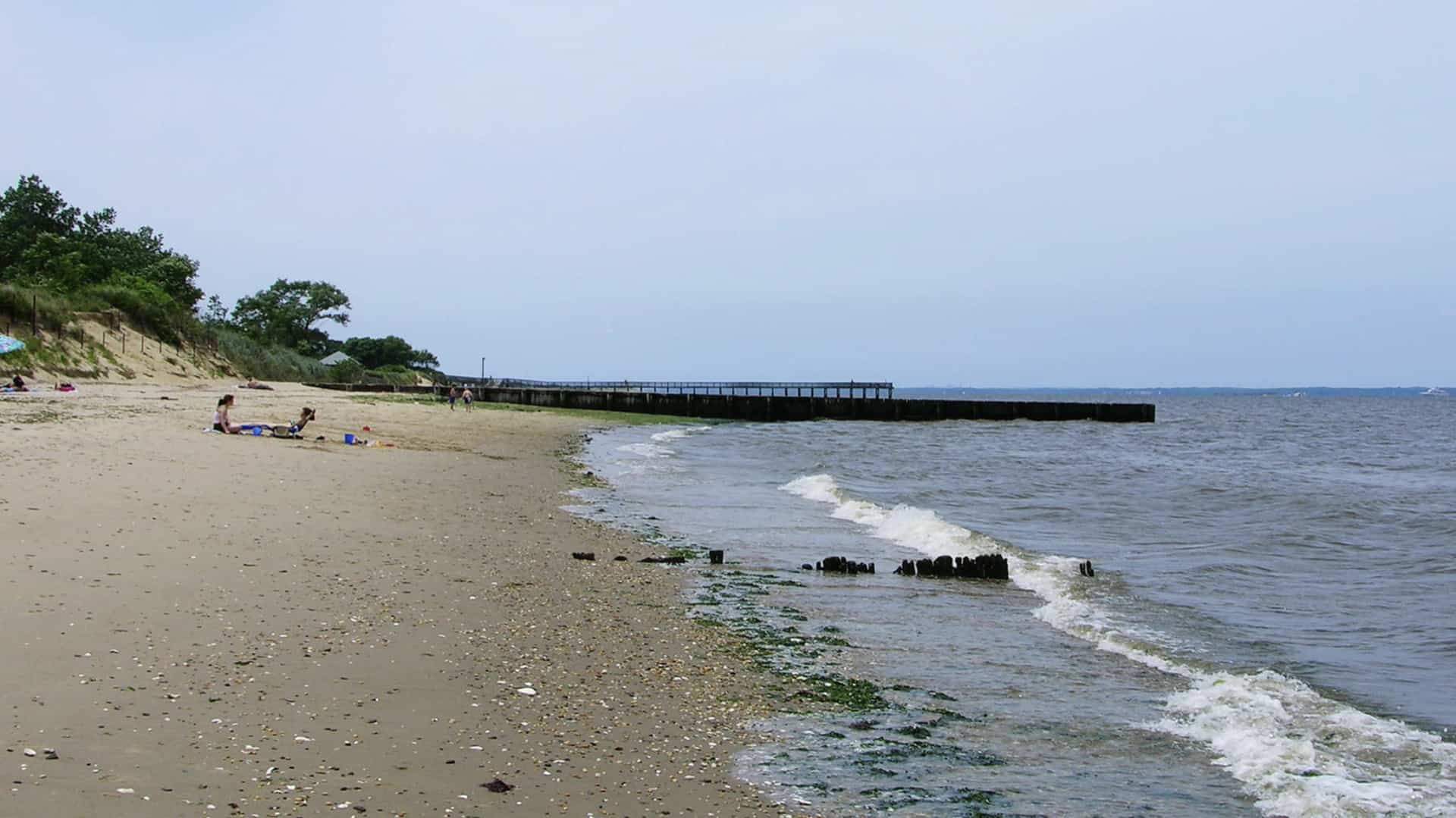 a view of a beach on a cloudy day