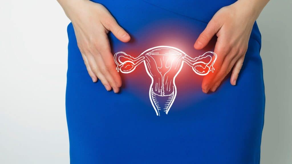 a diagram of the female reproductive system sits against a woman’s blue dress