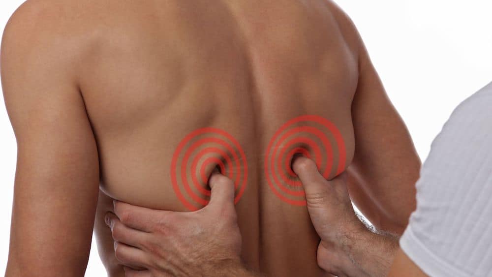 Chiropractor targets man's back muscles shown by red circles around his thumbs | Northeast Spine and Sports Medicine
