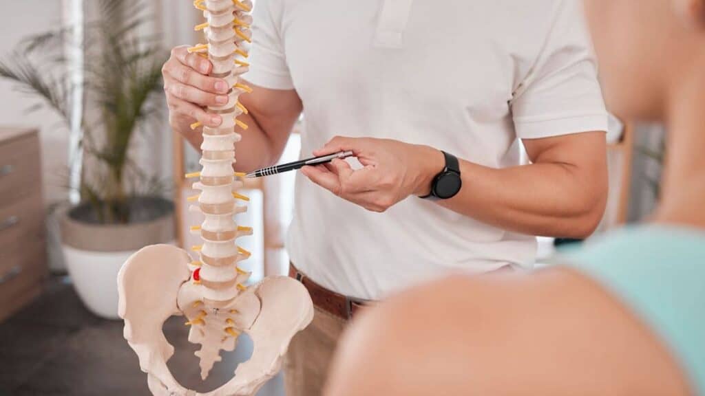Chiropractor Uses Pen to Point at Lower Spine on Anatomy Model | Chiropractor Statistics