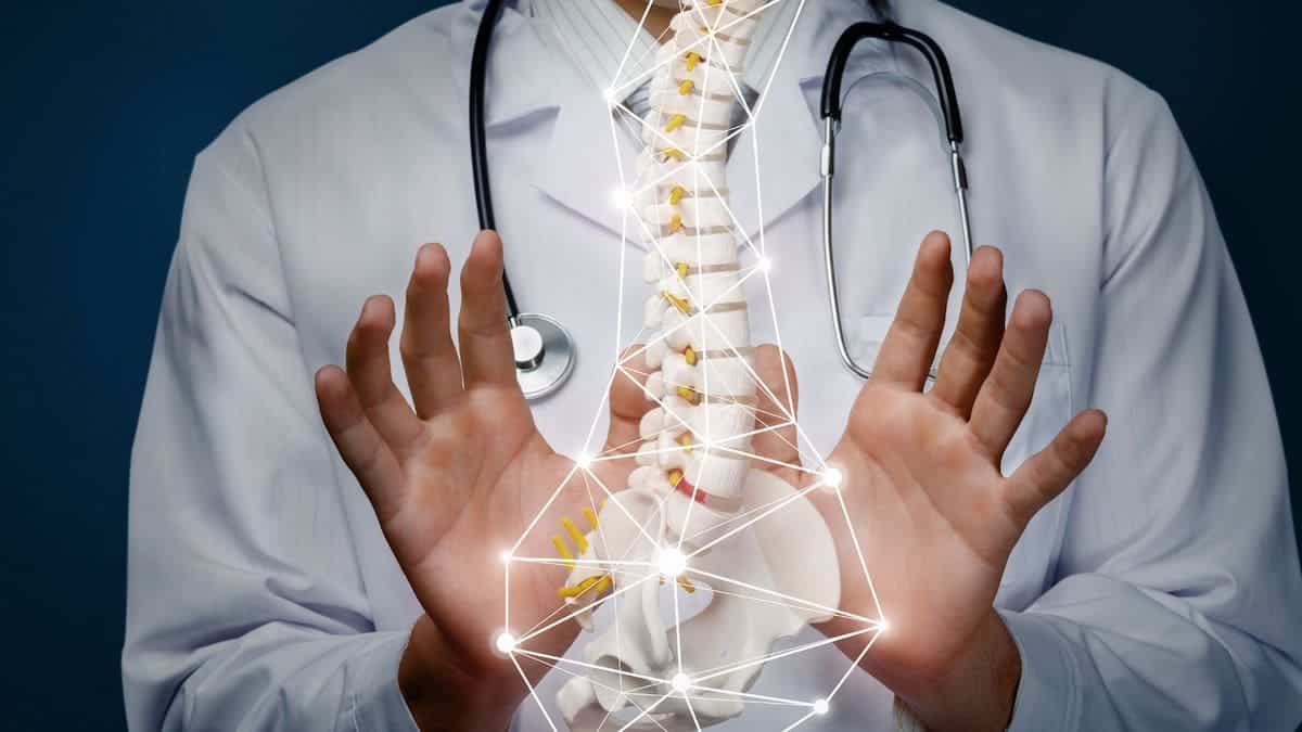Model Spine Hovers in Front of Chiropractor’s Hands | Chiropractic Statistics